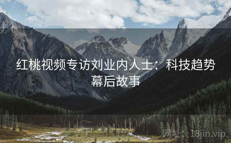 红桃视频专访刘业内人士：科技趋势幕后故事