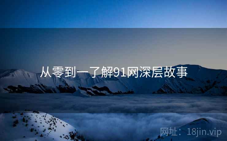 从零到一了解91网深层故事