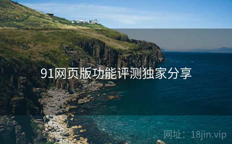 91网页版功能评测独家分享