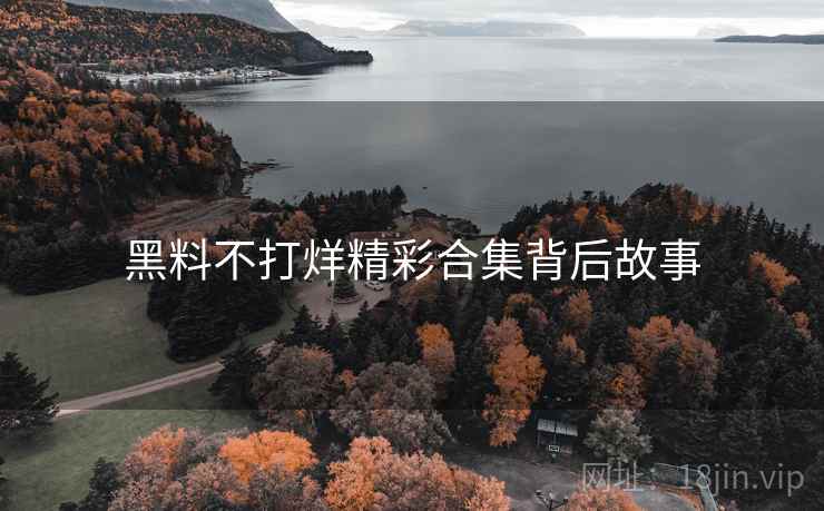 黑料不打烊精彩合集背后故事