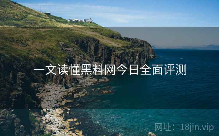 一文读懂黑料网今日全面评测