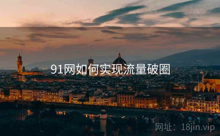 91网如何实现流量破圈