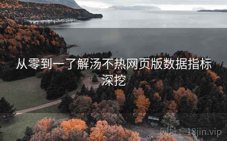 从零到一了解汤不热网页版数据指标深挖