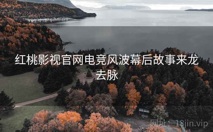 红桃影视官网电竞风波幕后故事来龙去脉