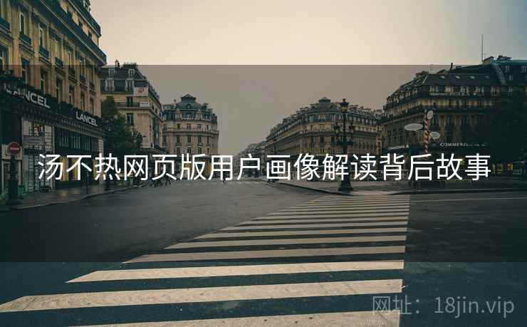 汤不热网页版用户画像解读背后故事