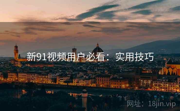 新91视频用户必看：实用技巧