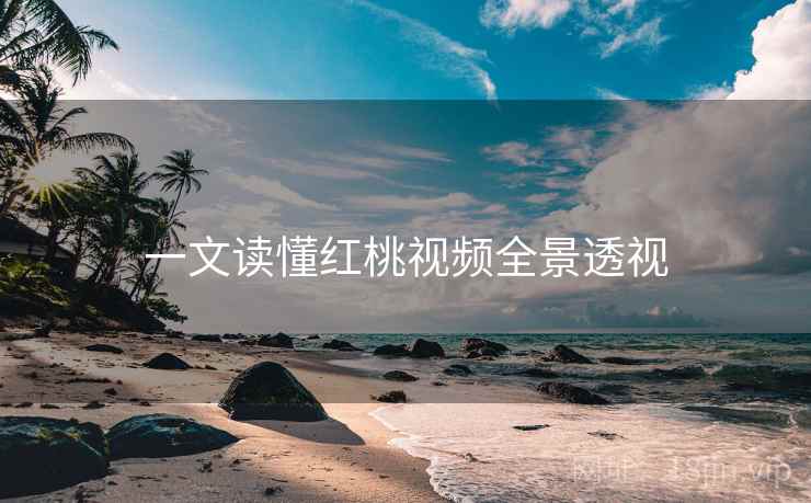 一文读懂红桃视频全景透视