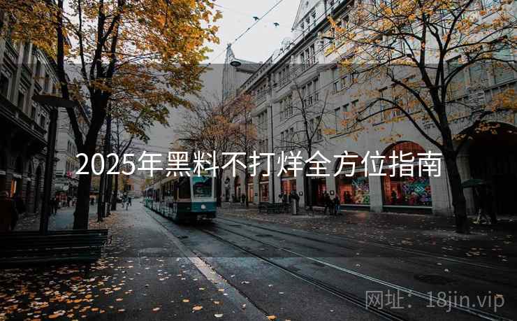 2025年黑料不打烊全方位指南