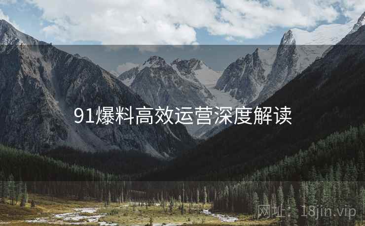 91爆料高效运营深度解读